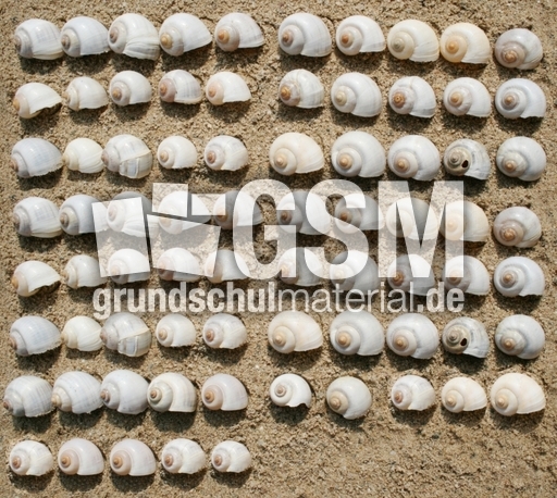Schneckenhäuser-75.jpg